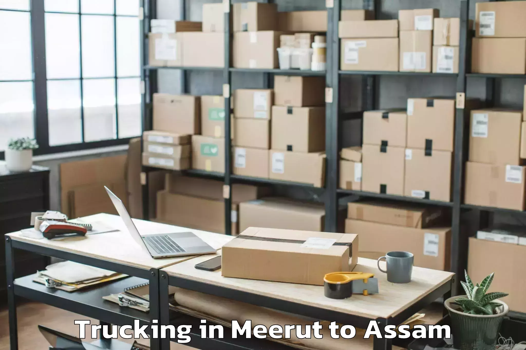 Meerut to Dokmoka Trucking Booking